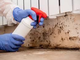 Churchill, PA Mold Removal Company